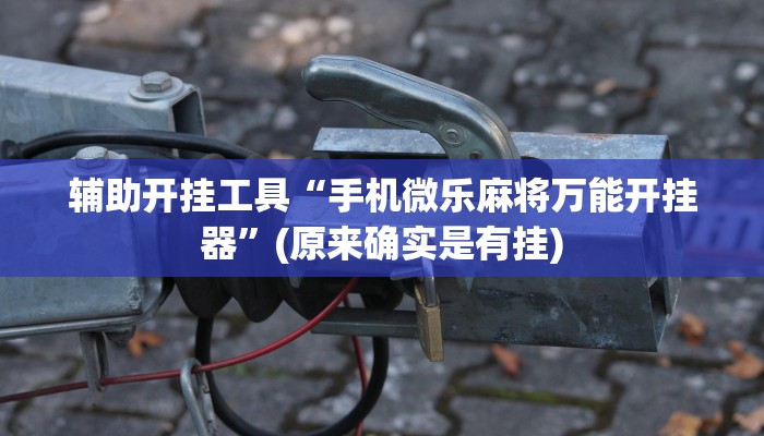 辅助开挂工具“手机微乐麻将万能开挂器”(原来确实是有挂)
