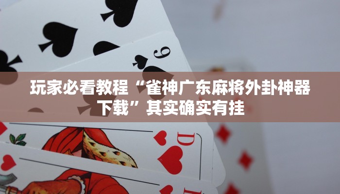 玩家必看教程“雀神广东麻将外卦神器下载”其实确实有挂