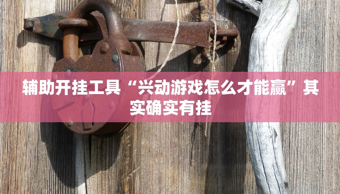 辅助开挂工具“兴动游戏怎么才能赢”其实确实有挂