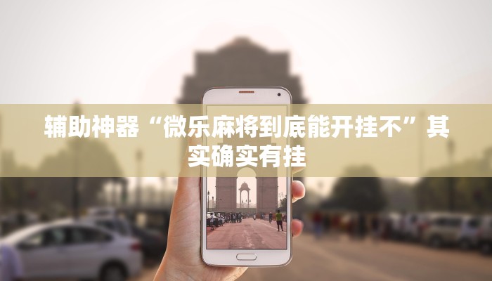 辅助神器“微乐麻将到底能开挂不”其实确实有挂
