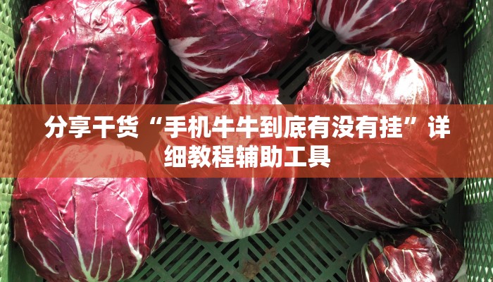 分享干货“手机牛牛到底有没有挂”详细教程辅助工具