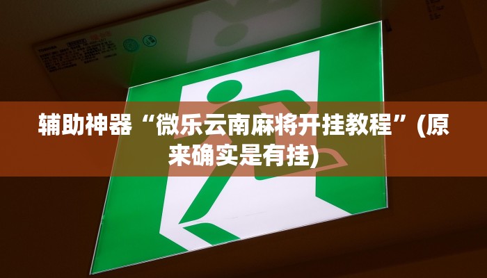 辅助神器“微乐云南麻将开挂教程”(原来确实是有挂)