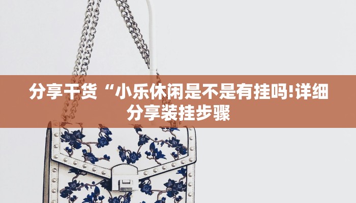 分享干货“小乐休闲是不是有挂吗!详细分享装挂步骤