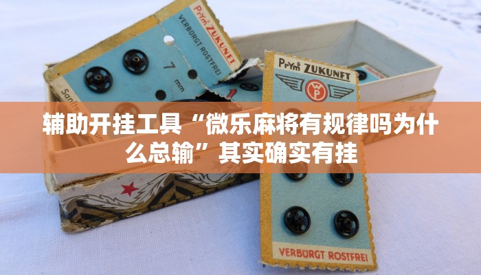 辅助开挂工具“微乐麻将有规律吗为什么总输”其实确实有挂
