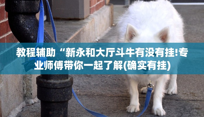 教程辅助“新永和大厅斗牛有没有挂!专业师傅带你一起了解(确实有挂)