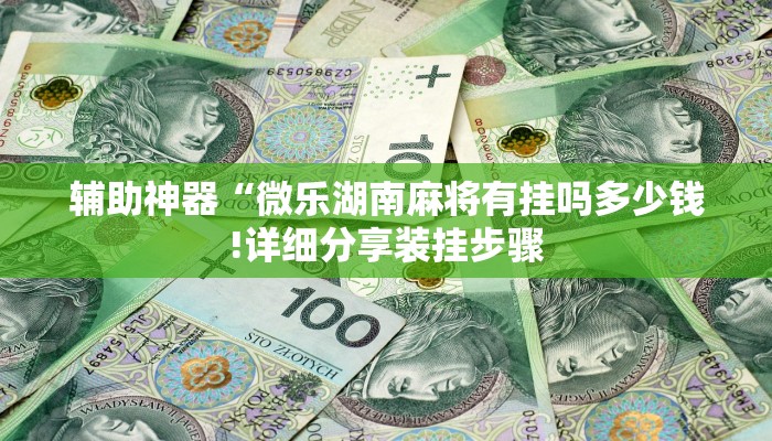 辅助神器“微乐湖南麻将有挂吗多少钱!详细分享装挂步骤