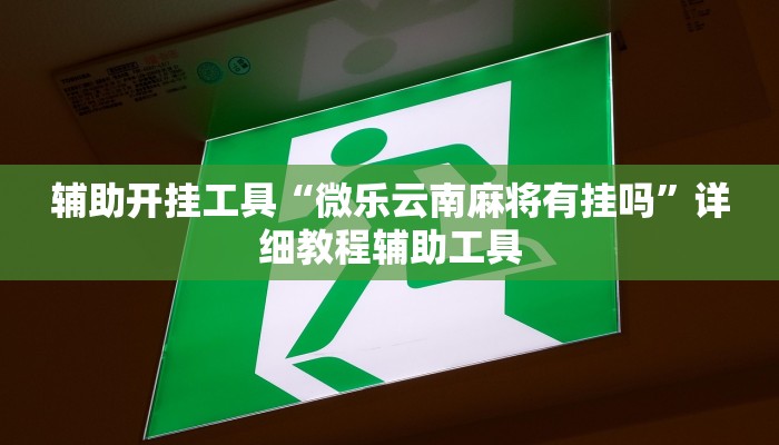 辅助开挂工具“微乐云南麻将有挂吗”详细教程辅助工具