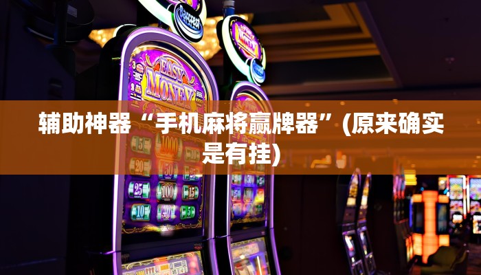 辅助神器“手机麻将赢牌器”(原来确实是有挂)