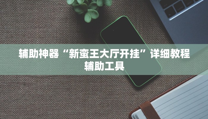 辅助神器“新蛮王大厅开挂”详细教程辅助工具
