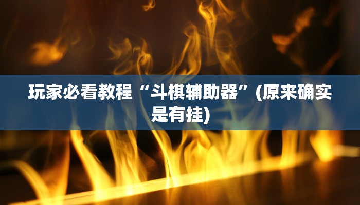 玩家必看教程“斗棋辅助器”(原来确实是有挂)