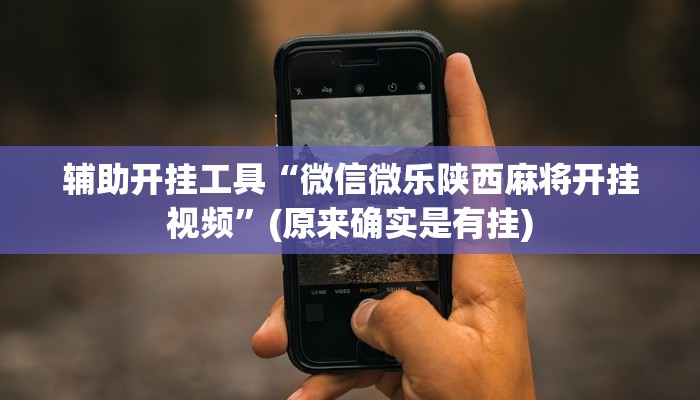 辅助开挂工具“微信微乐陕西麻将开挂视频”(原来确实是有挂)