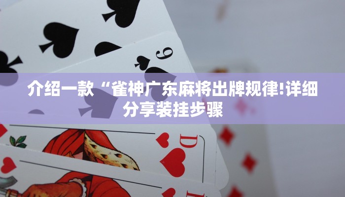 介绍一款“雀神广东麻将出牌规律!详细分享装挂步骤