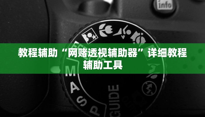 教程辅助“网赌透视辅助器”详细教程辅助工具