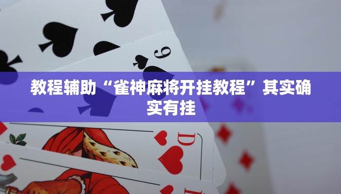 教程辅助“雀神麻将开挂教程”其实确实有挂