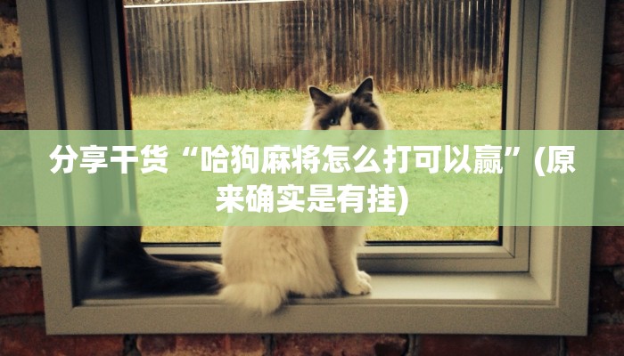 分享干货“哈狗麻将怎么打可以赢”(原来确实是有挂)