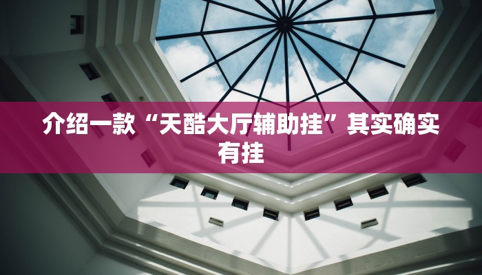 介绍一款“天酷大厅辅助挂”其实确实有挂