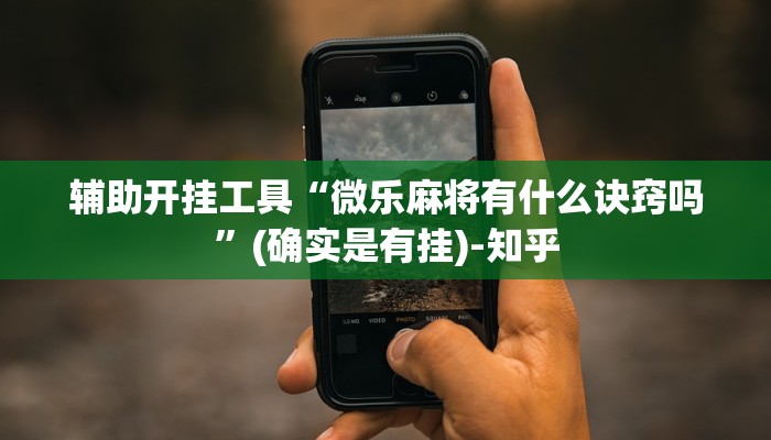 辅助开挂工具“微乐麻将有什么诀窍吗”(确实是有挂)-知乎
