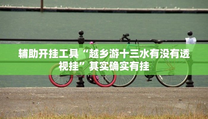 辅助开挂工具“越乡游十三水有没有透视挂”其实确实有挂