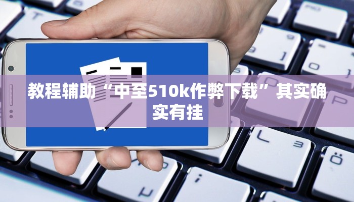 教程辅助“中至510k作弊下载”其实确实有挂