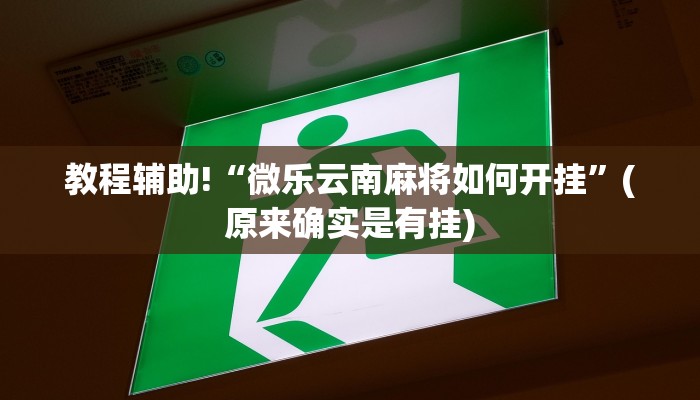 教程辅助!“微乐云南麻将如何开挂”(原来确实是有挂)