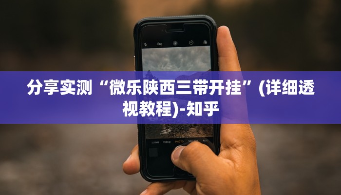 分享实测“微乐陕西三带开挂”(详细透视教程)-知乎