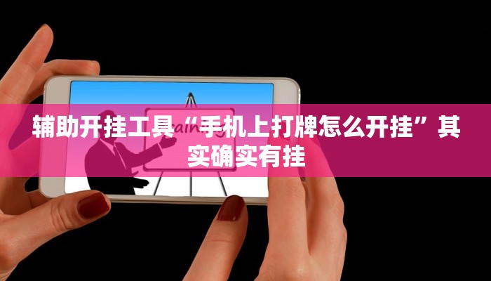 玩家必看教程“长虹大厅透视”详细教程辅助工具