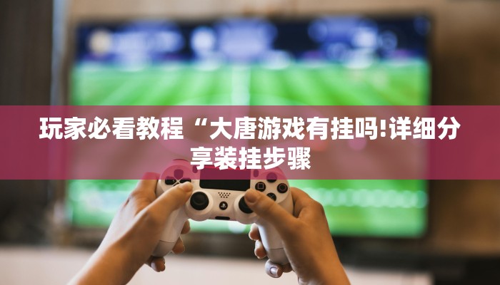 玩家必看教程“大唐游戏有挂吗!详细分享装挂步骤