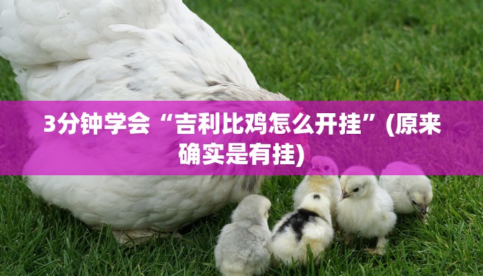 3分钟学会“吉利比鸡怎么开挂”(原来确实是有挂)